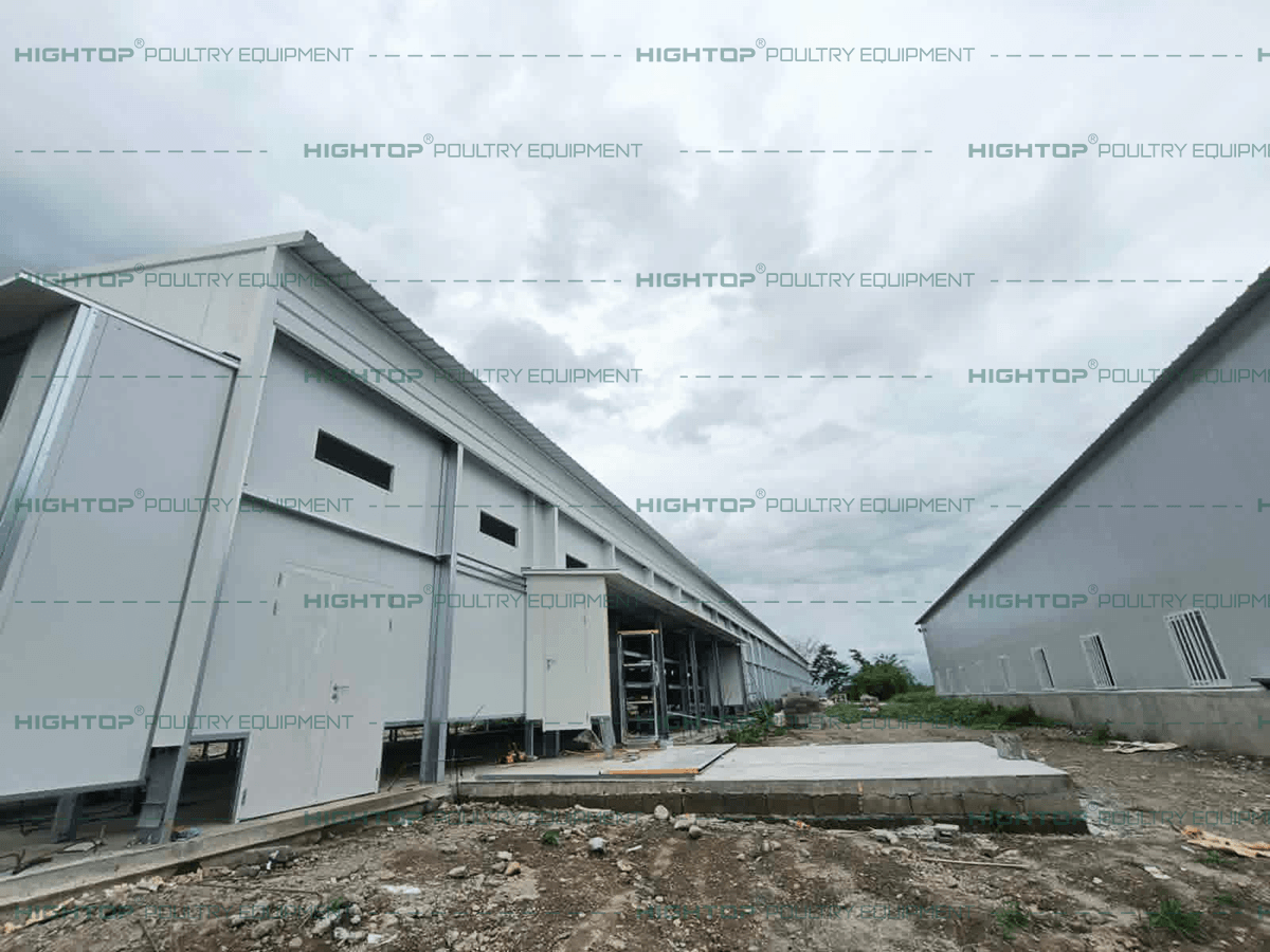 Construcción del segundo galpón avícola prefabricado con estructura de acero