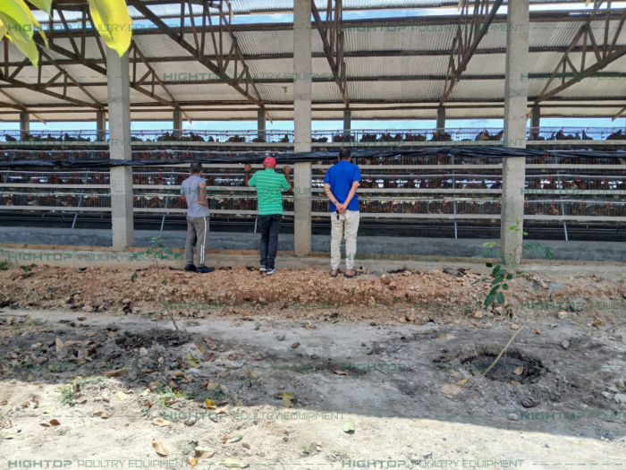 Granja de ponedoras en jaulas en Tanzania Granja de ponedoras en jaulas en Tanzania