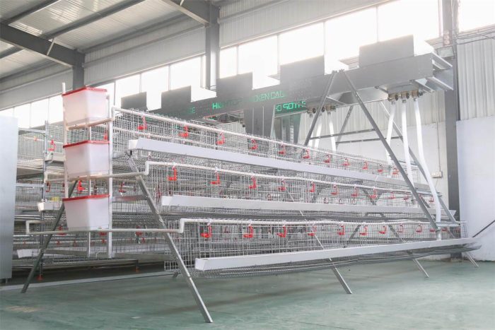 HIGHTOP jaula para gallina ponedora