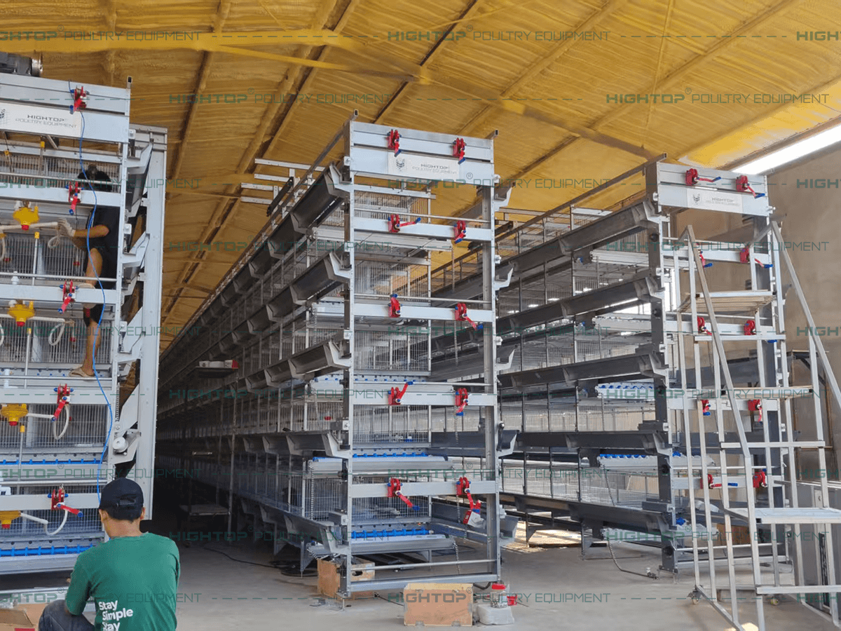 Instalación del criadero con estructura en H
