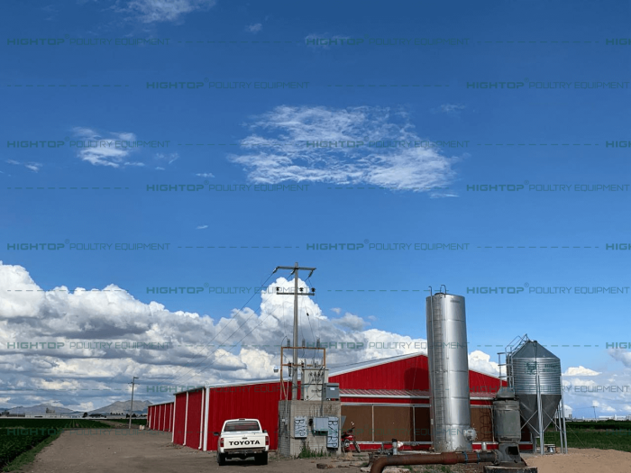 Jaula mexicana para gallina ponedora tipo A