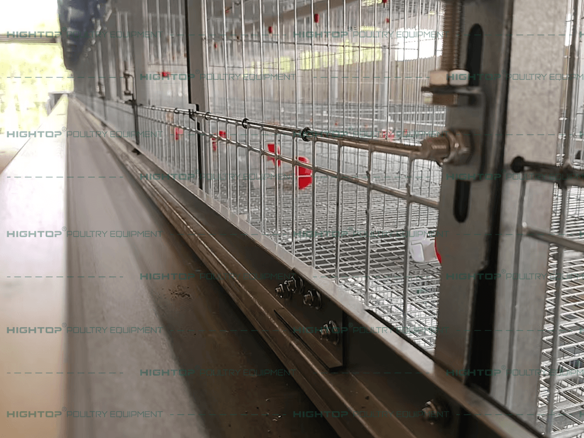 Jaulas de cría para pollitos ponedores con comederos de altura regulable