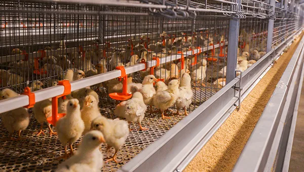 agricultura inteligente