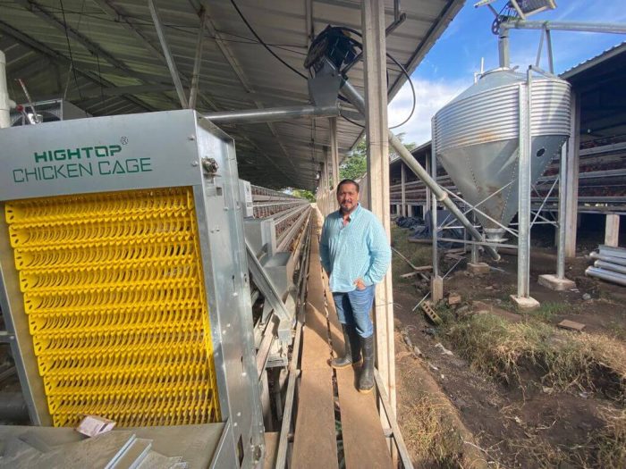 battery cage in Uruguay jaula en batería en Uruguay