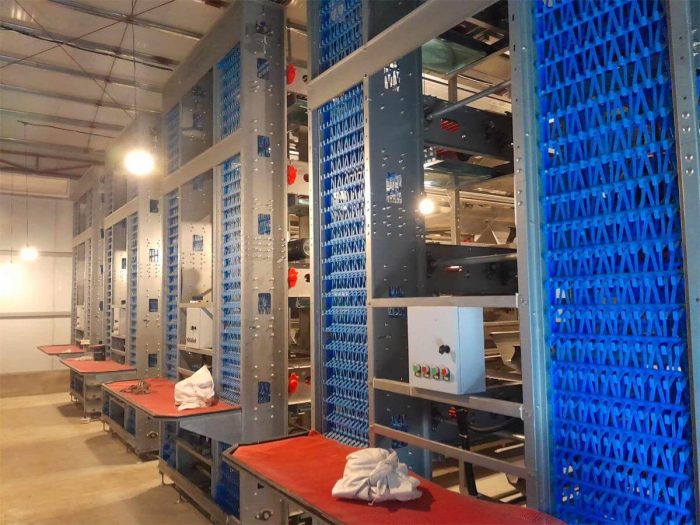 chicken cage for sale in Uruguay Jaula para pollos en venta en Uruguay