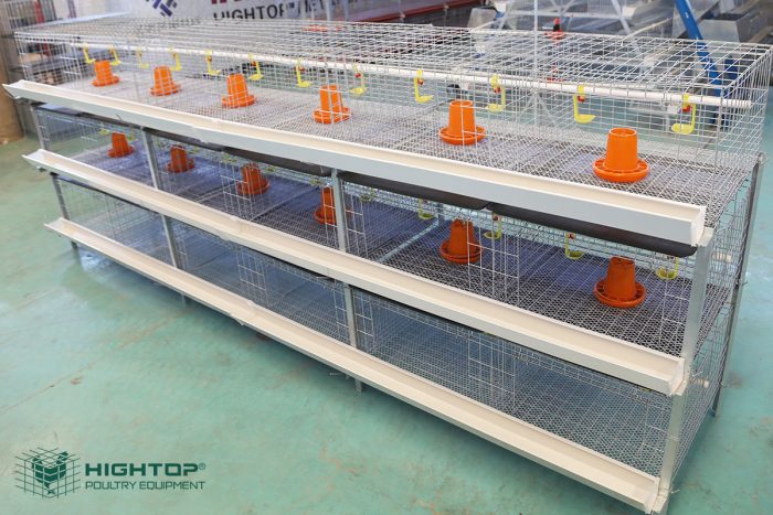 Jaulas para Pollo